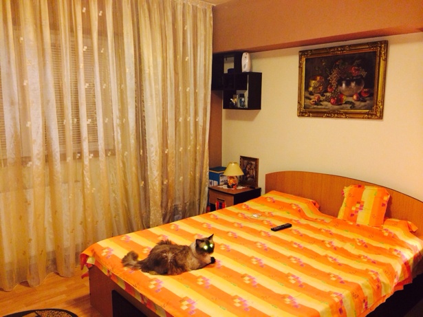 vanzare apartament 2 camere, Ghencea, cf 1, decomandat, etaj 8/10, renovat, bucatarie mobilata, bloc 1986,      pret 53.000 EUR